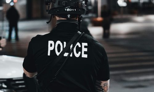 INTERPOL Notice in U.S. Immigration Law: How They Affect Visa, Asylum, and Naturalization Cases